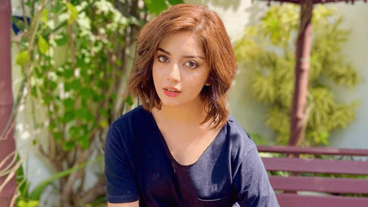 Alizeh Shah Deleted Instagram Posts